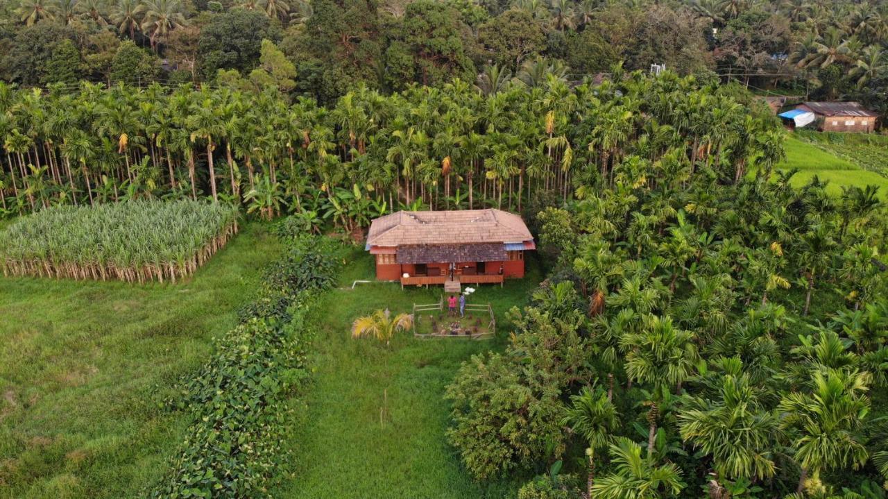 Ibbani Homestay, Siddapur Kültér fotó