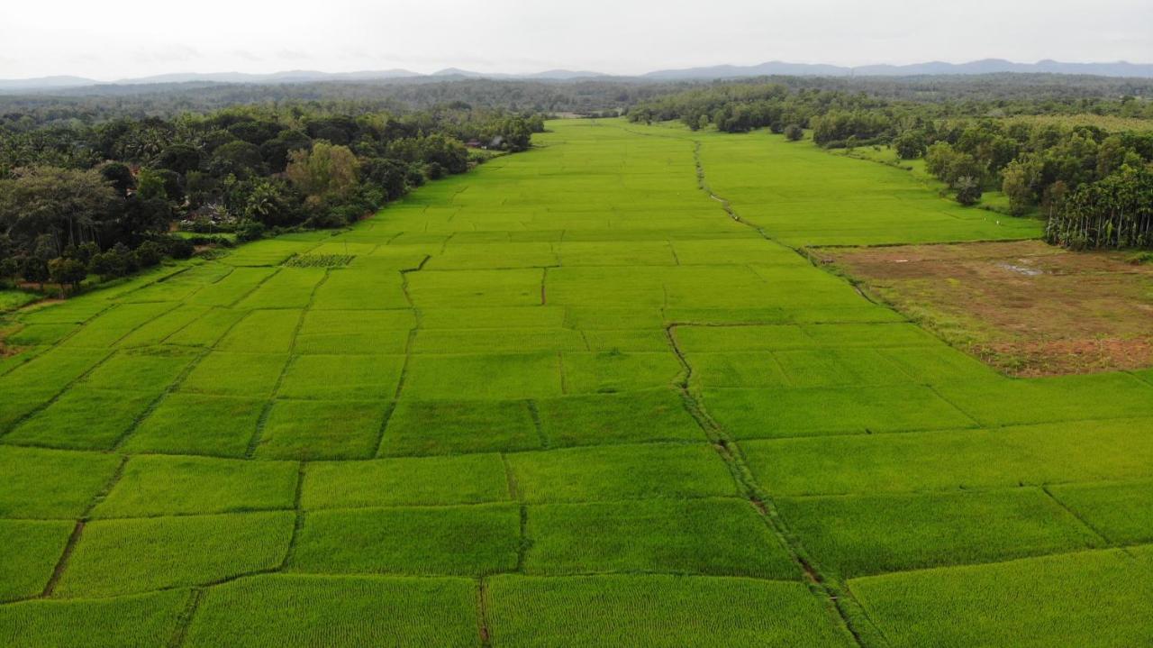 Ibbani Homestay, Siddapur Kültér fotó