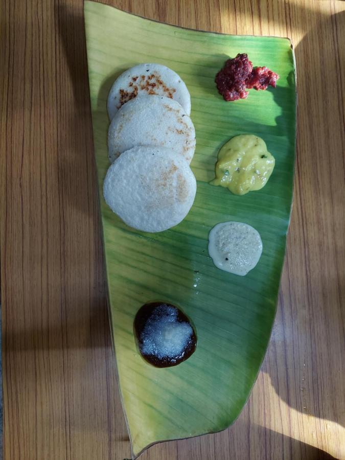 Ibbani Homestay, Siddapur Kültér fotó