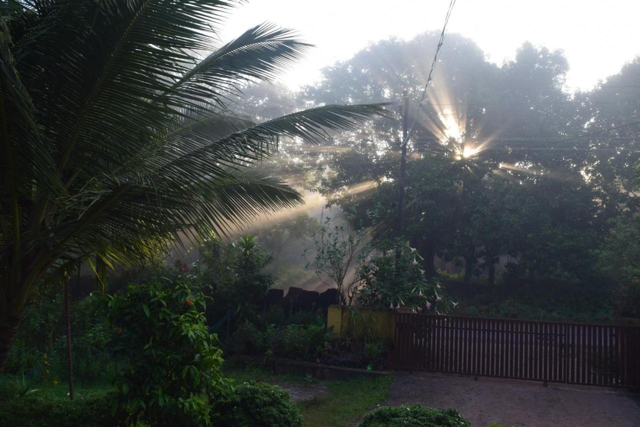 Ibbani Homestay, Siddapur Kültér fotó