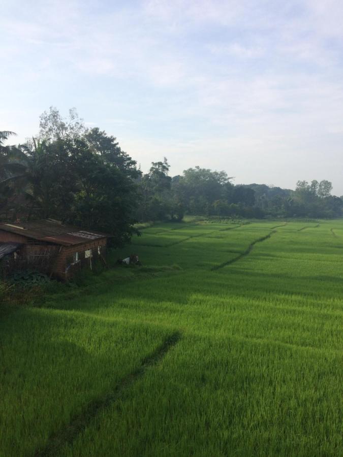 Ibbani Homestay, Siddapur Kültér fotó